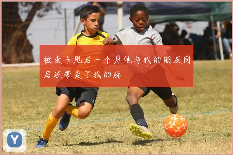 被麦卡甩后一个月他与我的朋友同居还带走了我的狗