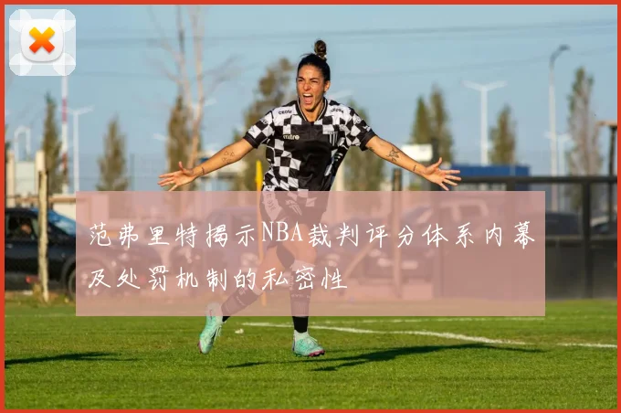 范弗里特揭示NBA裁判评分体系内幕及处罚机制的私密性